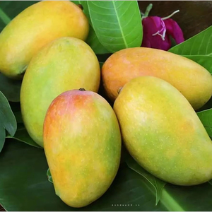 Mangue douce séchée du fleuve Mékong séchée à la publicité avec processus de conservation du sirop Options d'emballage personnalisées disponibles - Product Image 1