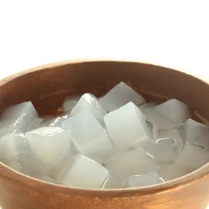 Natural nata de coco from Ben Tre high quality and ready to export in bulk