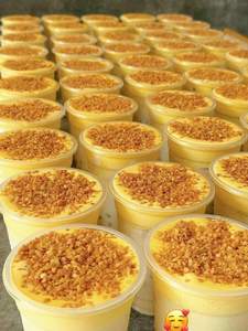 Gránulos de Coco Tostado para Uso Industrial y Distribuidores Internacionales - Product Image 2