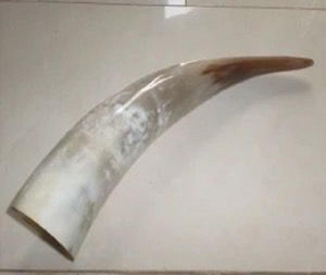 Cornes à boire Viking avec support en corne de buffle - Product Image 2