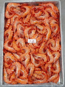 Camarones Vannamei Enteros Cocidos C.HOSO IQF Congelados de la Mejor Calidad - Product Image 3