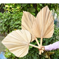 Décoration de feuilles de palmier feuilles de palmier de couleur séchée pour mariage lance de palmier avec différentes couleurs et formes produit décoratif pour la maison