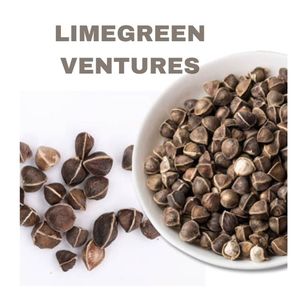 Moringa Hạt Giống Cây Dùi Trống Moringa <span class=keywords><strong>oleifera</strong></span> số lượng lớn Moringa xuất khẩu và Nhà cung cấp - Product Image 5