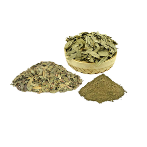 Extrait sec de feuilles de séné (10:1) Poudre végétale standardisée pour le soutien naturel de la santé, la digestion, la détoxification et le bien-être général - Product Image 2