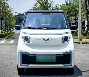 Woling Neno 2021, Portaequipajes Metálico Automático, Asientos de Cuero, Batería de Litio, Características Premium - Product Image 1