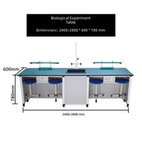 Table de laboratoire de biologie et de chimie moderne personnalisable avec surface Chemguard, comptoir de laboratoire, banc d'expérimentation pour étudiants, vente en gros pour hôpitaux et écoles