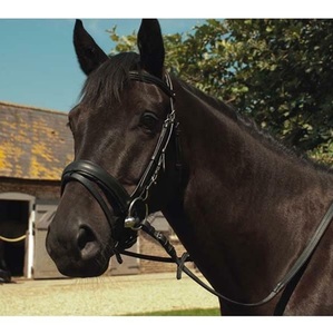 Bride confortable multifonctionnelle de style occidental pour chevaux Brides Flash Noseband Fini mat en acier inoxydable Rein Sports - Product Image 1