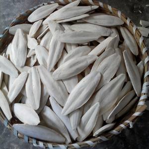 Supplément essentiel de nutrition et de santé d'oiseau d'os de seiche entièrement naturel de haute qualité pour le produit d'agriculture d'animaux de compagnie - Product Image 5