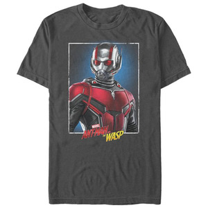 Camiseta de algodón de alta calidad para hombre, camisa con estampado de Marvel, Ant-Man y Wasp Frame, gráfica de carbón - Product Image 1
