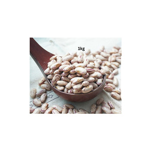 Suministro Confiable de Frijoles Frescos (Frijoles de Hueso) con Empaque Personalizado y Servicio OEM/ODM para Fabricantes de Alimentos y Revendedores - Product Image 1