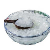 Cube de gelée de fruits Nata De Coco de haute qualité doux et délicieux pouding à la noix de coco moelleux au sirop pour emballage en vrac de thé à bulles