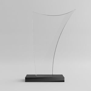 Plaque commémorative en acrylique, trophée durable et poli, gravé pour les récompenses d'entreprise, la reconnaissance des employés, les événements sportifs et scolaires - Product Image 5