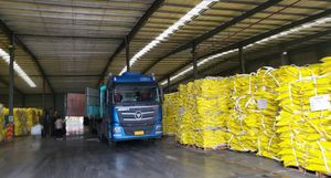 Agent de lixiviation de l'or Jin Chan, fabriqué en Chine, pour additifs pétroliers, poudre grise, 25 kg/sac - Product Image 6