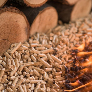 Pellets de madera para arena para gatos de alta calidad con proceso de granulación madura y diseño desechable, buena palatabilidad, carbón activo - Product Image 6