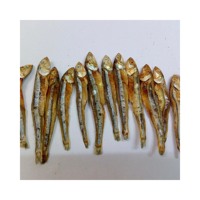 Petite taille frais 100% fruits de mer délicieux en gros nouveau poisson d'anchois gris râpé séché du Vietnam Elysia 0084789310321