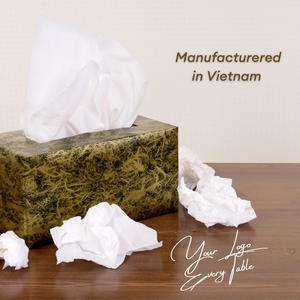 Elegante caja de pañuelos de 2 capas, personalizable y elegante, accesorio duradero para el hogar del fabricante vietnamita para cualquier espacio - Product Image 5