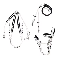 Ensemble complet d'équipement d'équitation d'endurance en cuir pour chevaux, avec selle western, licols et bridons en PVC et nylon, disponible en dropshipping