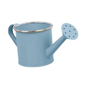 Arrosoir en métal résistant aux intempéries, offrant une hydratation douce et uniforme, idéal pour les fleurs, les herbes, les arbustes et les semis. - Product Image 2