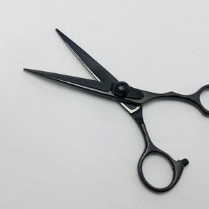 6.0 pouces noir couleur titane coiffure coupe cisailles ciseaux salon de coiffure détachable réglable queue ongle poignée - Product Image 4
