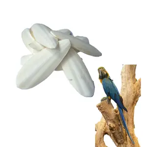 Papağan besleme kuşlar sürüngenler evcil hayvan gıda Pet malzemeleri evcil hayvan ürünleri için üst Raking kurutulmuş mürekkepbalığı kemik toplu ambalaj