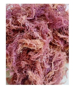 Productos de algas marinas Cottonii al por mayor-Seamoss irlandeses dorados y morados-Algas marinas Eucheuma Cottonii crudas frescas-Alimentos nutritivos - Product Image 4
