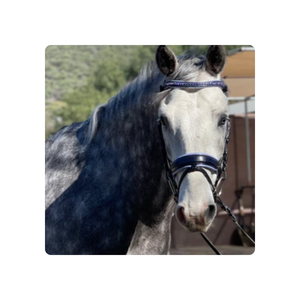 Remaches plegables, - Product Image 1