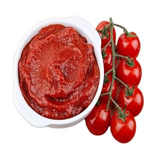 Salsa de Tomate al por Mayor, Precio Económico, Alta Calidad, Fácil de Abrir, Pasta de Tomate Concentrada en Lata, Puré de Tomate 10 kg - Product Image 6