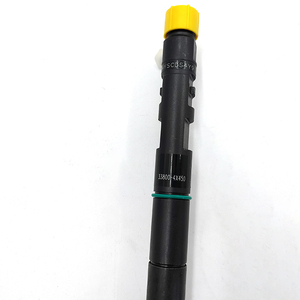 Đầu Phun <span class=keywords><strong>Diesel</strong></span> 338004X450 R05501D EJBR05501D Đầu Phun Nhiên Liệu Đường Ray Thông Thường Assy Cho <span class=keywords><strong>Delphi</strong></span> Kia Hyundal Bongo3 - Product Image 4