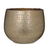 Set 2 Pot Tanaman Hias Lapis Emas Ramah Lingkungan Berbagai Ukuran Pot Bunga Logam untuk Taman Dalam/Luar Ruangan