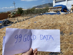 Musgo Marino Seco de Alta Calidad de Vietnam, Estilo Premium, Precio Económico - Product Image 2