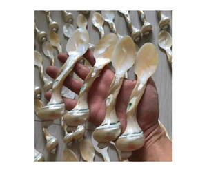 ช้อนตักไข่ปลาคาเวียร์เปลือกหอยมุกขัดเงาแบบกำหนดเองได้ - Product Image 6