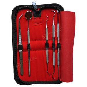 Kit di Strumenti Dentali in Acciaio Inossidabile per Esame e Igiene Orale Manuale - Product Image 3