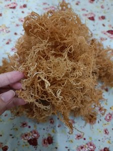 Algas secas Eucheuma Cottonii Algas marinas de alta exportación estándar Wildcrafted-Fuente natural Premium Seamoss del océano - Product Image 4