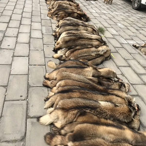 Salé humide et peau séchée au soleil à vendre prêt pour l'industrie du cuir. Peaux d'animaux de qualité supérieure du Kenya idéales pour la production de marchandises - Product Image 5