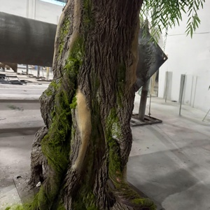 <span class=keywords><strong>Grand</strong></span> <span class=keywords><strong>arbre</strong></span> artificiel réaliste personnalisé 8FT 10FT 12FT Olivier résistant aux UV pour hôtel, événement, jardin, décoration intérieure et extérieure - Product Image 4
