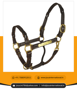 Licol en cuir de cheval en nylon, fourniture en gros, licou en cuir torsadé avec plaque signalétique, non pérenne - Product Image 2