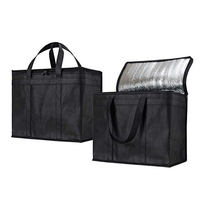 Sac isotherme en TPU avec fermeture éclair, imperméable, pour le camping, les pique-niques, les voyages, les événements en plein air, personnalisable OEM