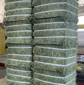 Timothy <b>Hay</b> High Quality Animal Feed - Product Image 4