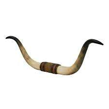 Cuerno de vaca de lujo hecho montado en la pared decoración búfalo vaca cuerno montado lujo decoración del hogar Accesorios buey cuerno pared por Tradebit - Product Image 4