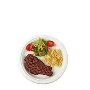 9 Inch Round Plate Sugarcane Bagasse Food Packaging 100% Biodegradable Hotel And Party Ware Plates 23 Gm