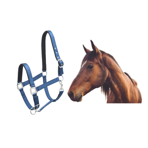 Meilleur prix de gros Cheval PP Halters Équipement confortable et solide du fabricant indien - Product Image 4
