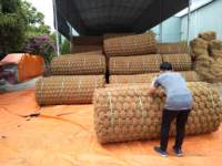 Prix direct usine - Tapis en fibre de coco du Vietnam, traité pour l'exportation, avec une qualité stable et une manutention en vrac efficace