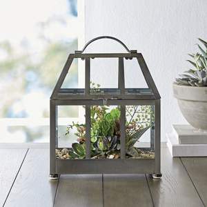 Terrarium en métal ouvert pour un accès facile aux plantes et un arrosage facile adapté à la décoration intérieure. - Product Image 4