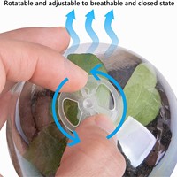 Pots de pépinière de plantes avec démarreur de graines de dôme d'humidité Pots de tourbe biodégradables pour jardin intérieur extérieur