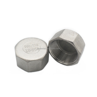 Raccord de tuyau SS304 1/2 pouce 3/4 pouce BSP filetage femelle bouchon hexagonal en acier inoxydable pour la plomberie