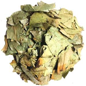 ใบทุเรียนเทศแห้ง/ใบ annona muricata แห้งทำจากใบทุเรียนเทศสด100% จากผู้ผลิตโดยตรง - Product Image 5