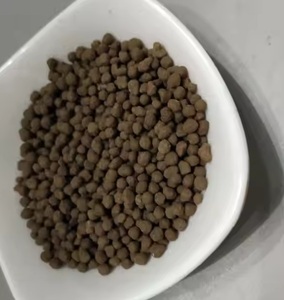 Engrais granulaire DAP 18-46-0 P2O5 TSP à libération rapide pour l'agriculture - Product Image 1