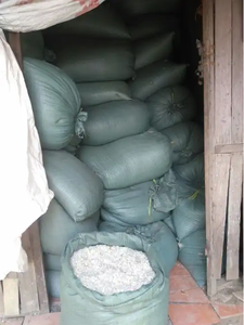 Opción perfecta para hacer colágeno-Escamas de pescado seco escamas de pescado seco carpa para Producción/Bella - Product Image 6