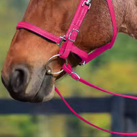 Bridons d'équitation de haute qualité, fabriqués en usine, en cuir, séchage rapide, confortables, personnalisables, vente directe en gros GHC SONS