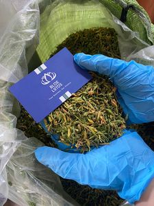 MEJOR HIERBA SECA MACHO PAPAYA FLOR SECA BUEN TÉ DE VIETNAM VENTA ENTERA PRECIO BARATO + 84855014447 MS AMELIA - Product Image 3